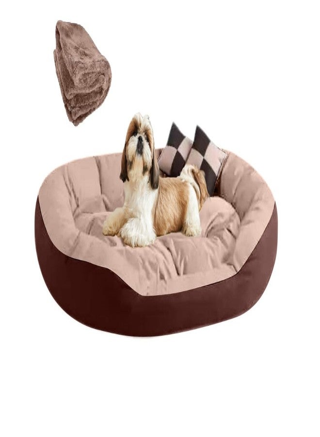 DRILLY Premium Fur Dog Bed for Extra Large Dogs Washable-Orthopedic Big Dog Beds | Big Breed | | Giant Human Dog Bed (3XL) - Image 1